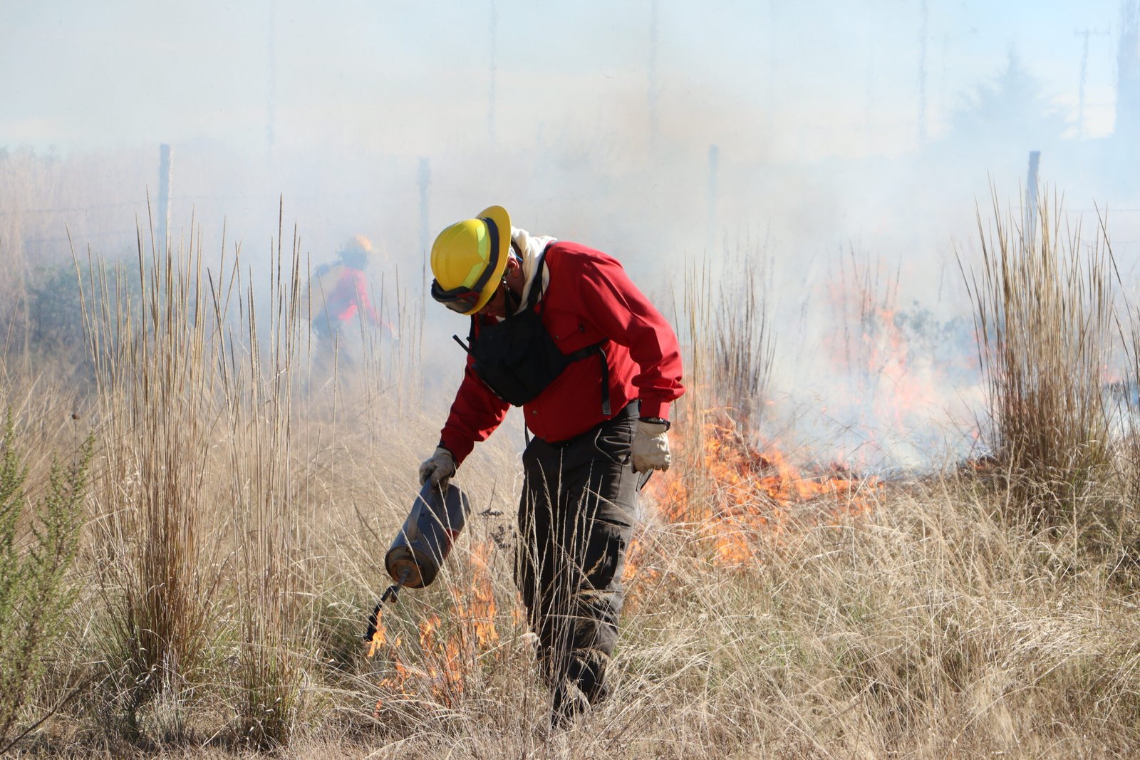 Llaman a fortalecer la prevención de incendios forestales en Hidalgo
