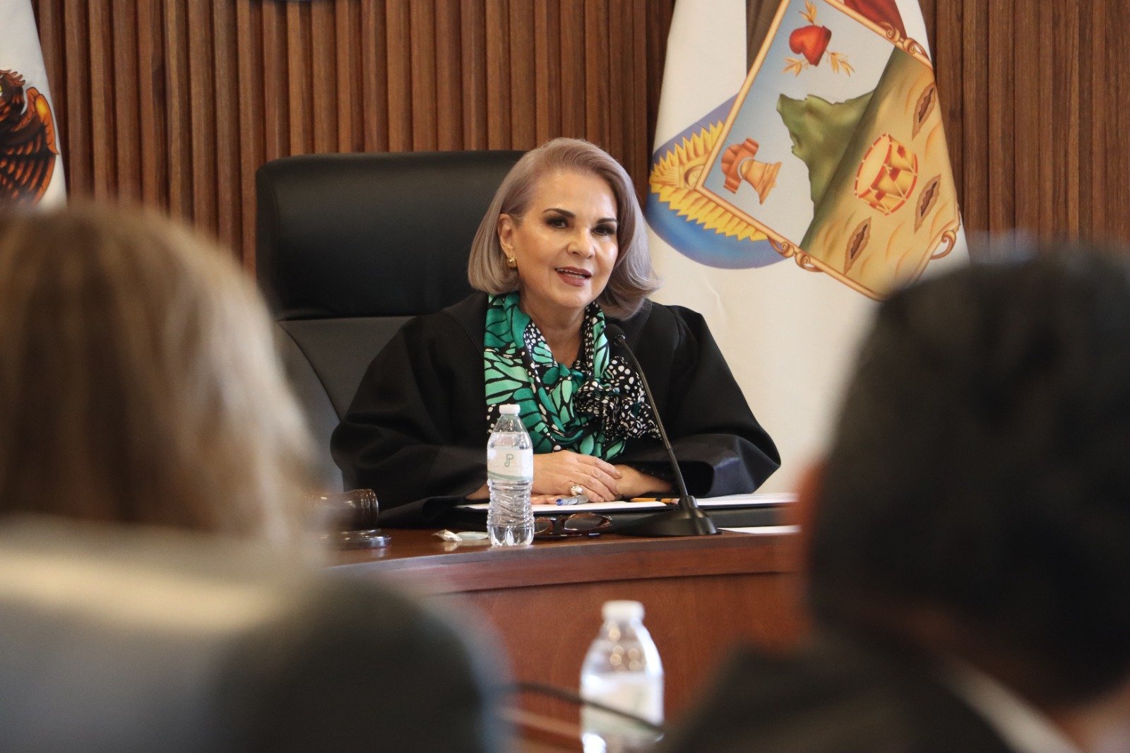 Rebeca Aladro continuara al frente del TSJH