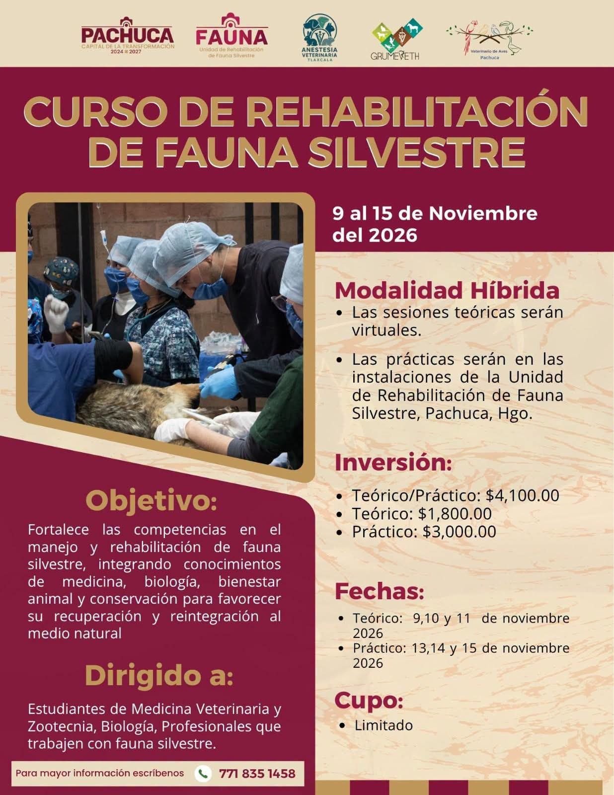 Pachuca abre inscripciones para el Curso de Rehabilitación de Fauna Silvestre 2026