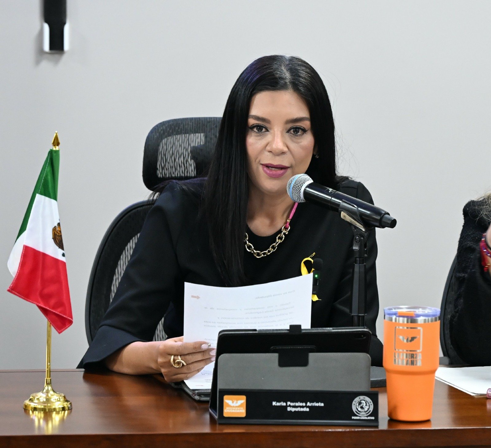 Karla Perales, pide que las barreras de protección cumplan las normas de seguridad vial.